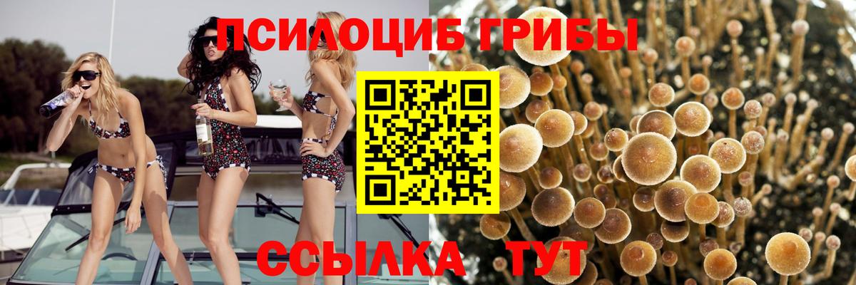 Галлюциногенные грибы ЛСД  Вход с VPN  Галлюциногенные грибы Psilocybine cubensis  Невинномысск 