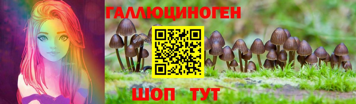 Псилоцибиновые грибы GOLDEN TEACHER Невинномысск