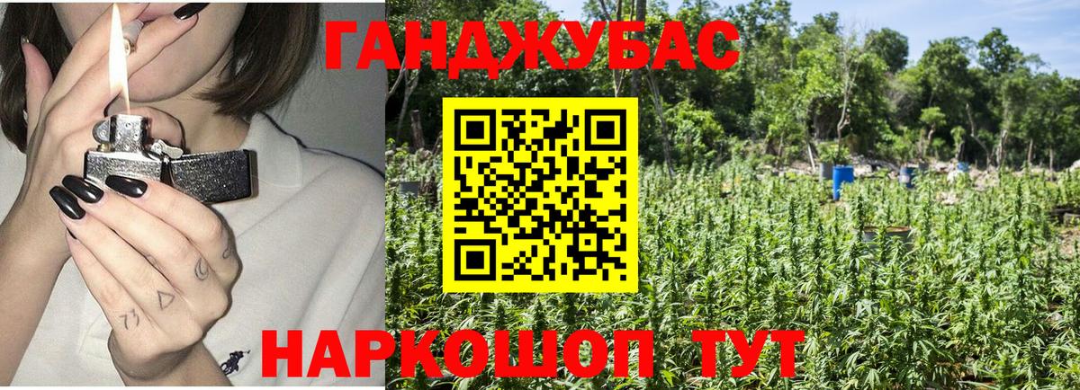 Канабис конопля Невинномысск